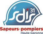 SDIS 31